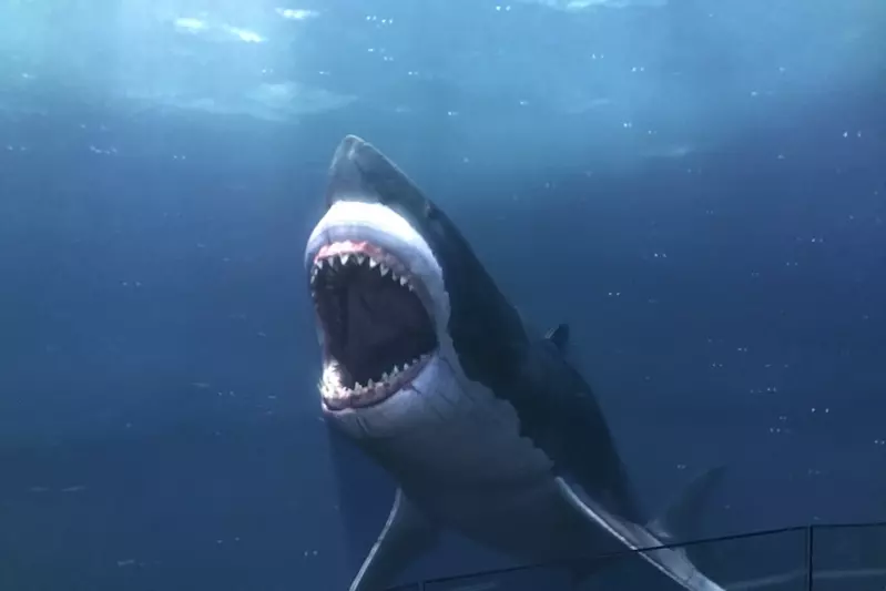 shark showing off sharp teeth