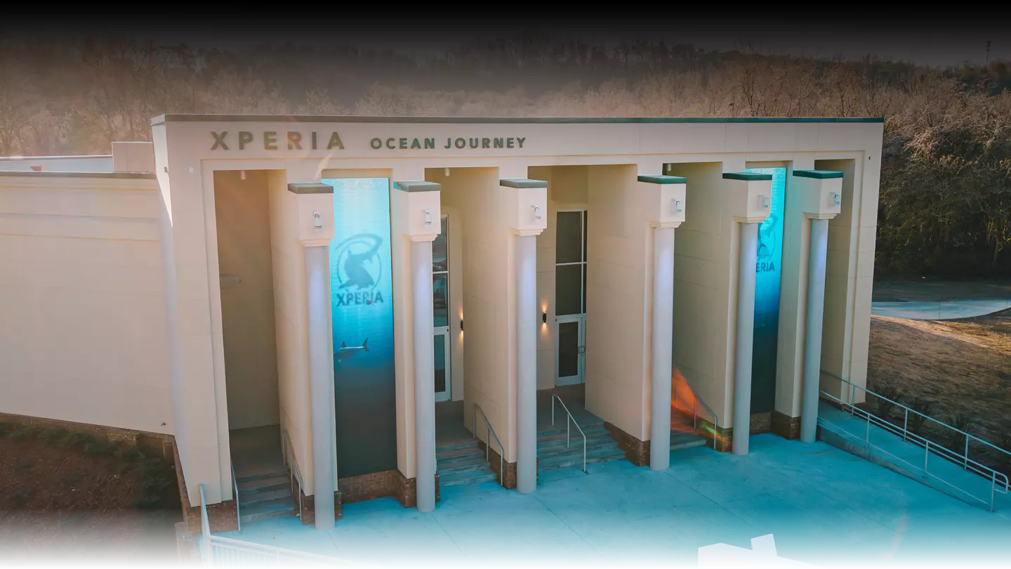 XPERIA: Ocean Journey in Sevierville